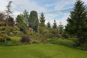 Botanical Garden in Dubiny image