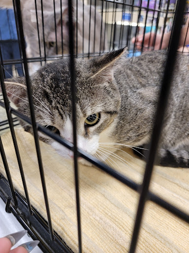 Pet Supply Store «PetSmart», reviews and photos, 5435 W TX-1604 Loop N, San Antonio, TX 78253, USA