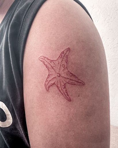 Explore north star tattoo ideas, creative tattoo ideas in Albany, available at Cold River Body Arts