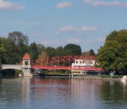 Zugpferd photo
