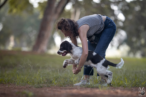 בונדינג- אילוף כלבים|כלבנות טיפולית|רפואה משלימה לבע