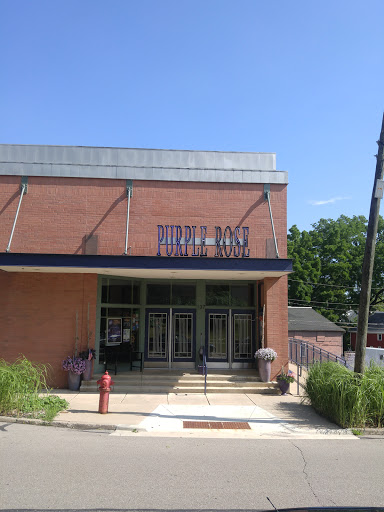 Performing Arts Theater «Purple Rose Theatre Company», reviews and photos, 137 Park St, Chelsea, MI 48118, USA