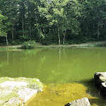 Photo n°8 de l'avis de Roberta. fait le 14/07/2018 à 18:20 sur le  Il Lago Lungo di Bagno di Romagna (FC) - Ristorante & Eventi à Bagno di Romagna