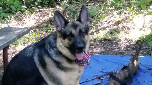 State Park «Willow River State Park», reviews and photos, 1034 County Highway A, Hudson, WI 54016, USA