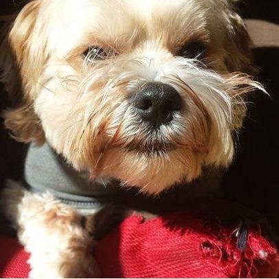 Pet Store «Perfect Pets», reviews and photos, 6840 S University Blvd #410, Centennial, CO 80122, USA