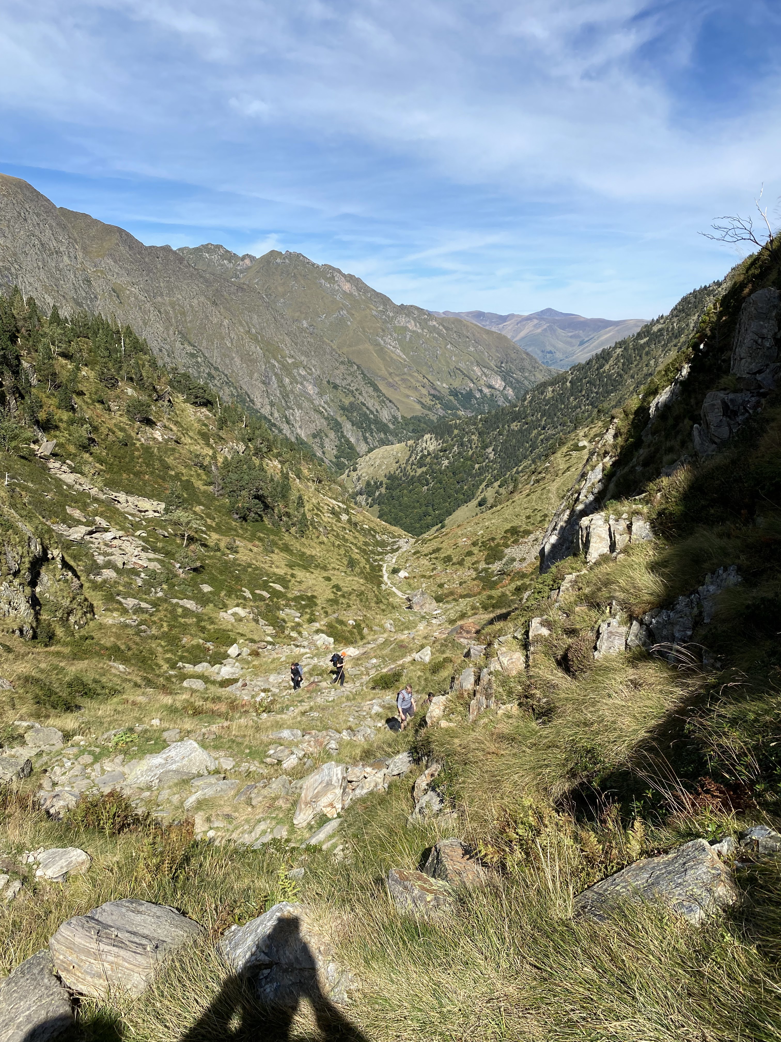 Photo n° 5 de l'avis de guillaume.u fait le 11/11/2023 à 14:18