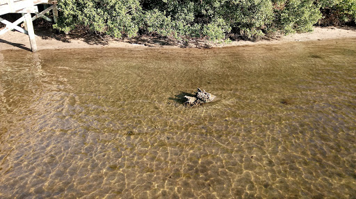 Park «Wall Springs Park», reviews and photos, 3725 Desoto Blvd, Palm Harbor, FL 34683, USA