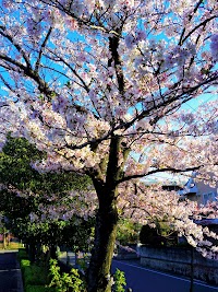 平手南公園