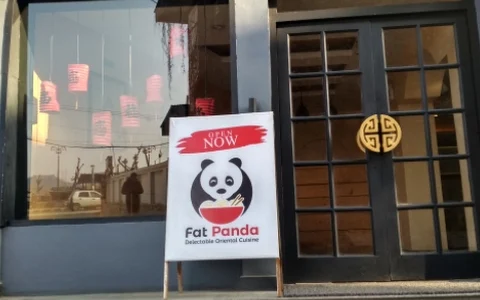 FAT PANDA image