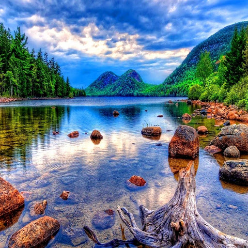 National Park «Acadia National Park», reviews and photos