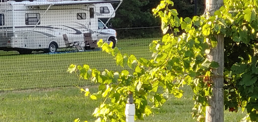 Winery «Balic Winery», reviews and photos, 6623 Harding Hwy, Mays Landing, NJ 08330, USA