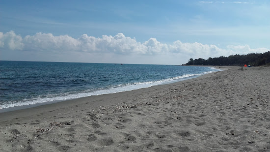 Baghera beach