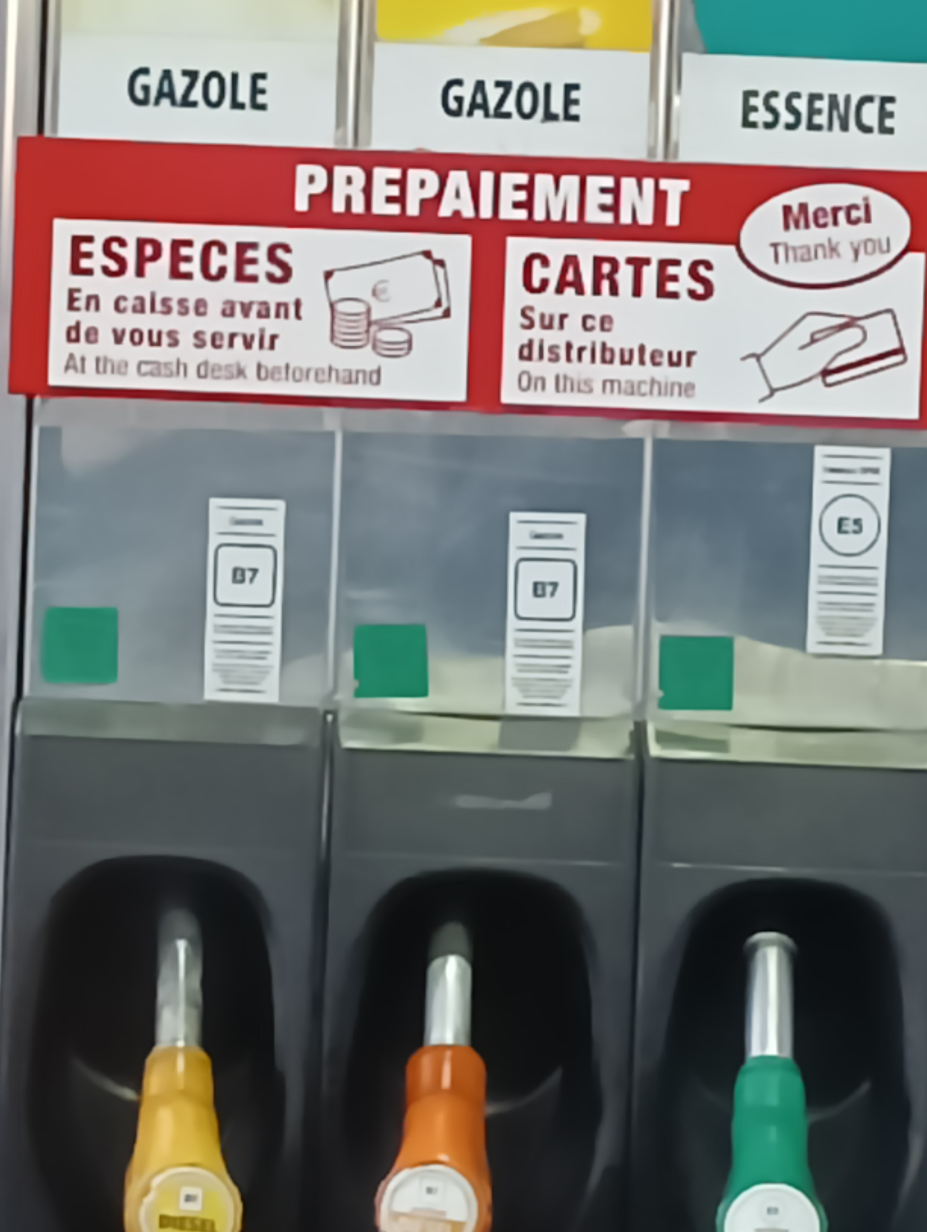 Photo n° 1 de l'avis de Dora.c fait le 20/09/2022 à 17:39