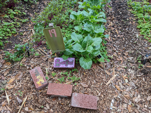 Farm «Sweetwater Organic Community Farm», reviews and photos, 6942 W Comanche Ave, Tampa, FL 33634, USA