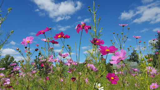 Nature Preserve «Duke Farms», reviews and photos, 1112 Dukes Pkwy W, Hillsborough Township, NJ 08844, USA