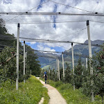 Photo n°10 de l'avis de Sabrina.i fait le 11/08/2023 à 10:28 sur le  Hotel per Cani Mair am Ort à Tirol