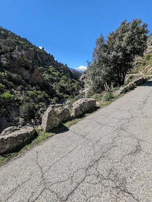 Location de vélo électrique Altipiani Corse à Corte