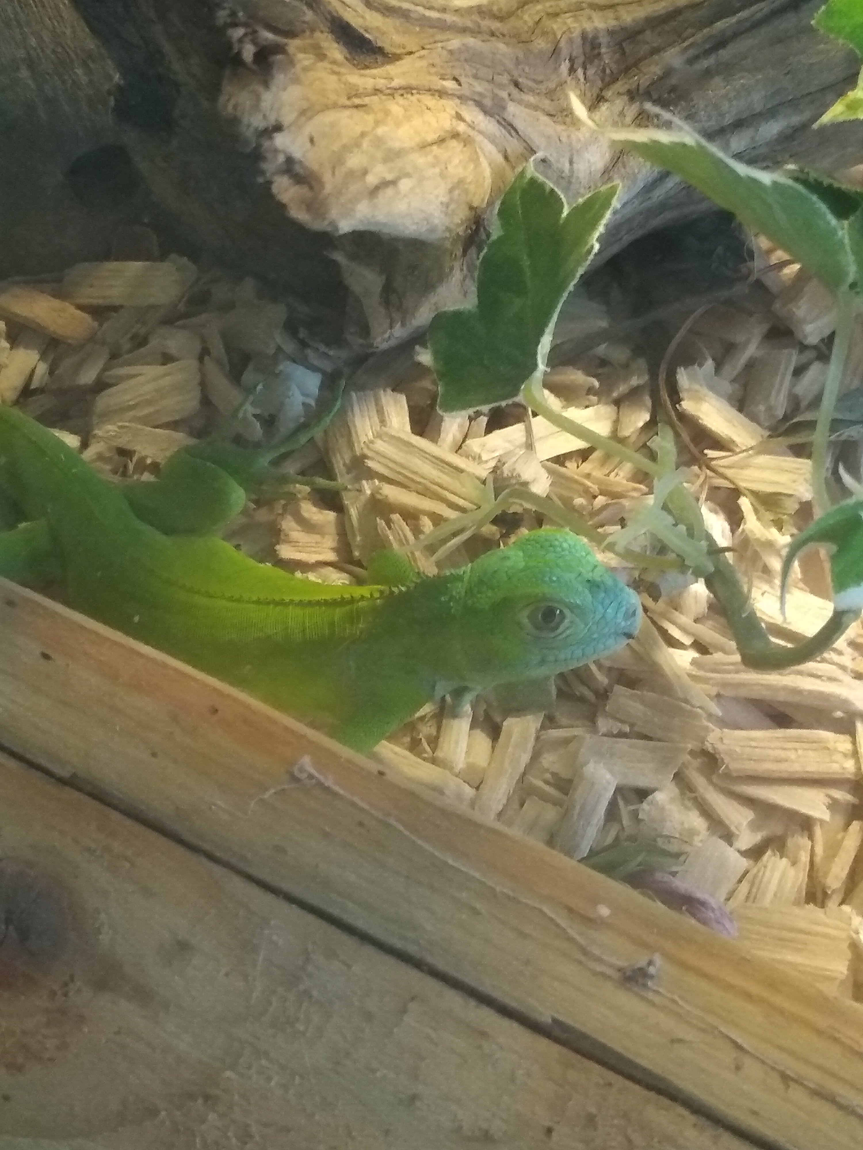 Photo n° 2 de l'avis de Sébastien.h fait le 31/07/2018 à 10:46