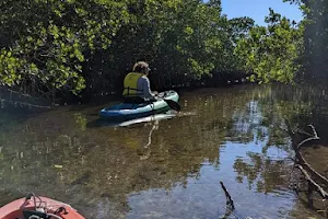 River Wild Kayaking image