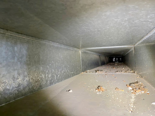 Wisdom Dryer Vent & Air Duct Cleaning Services