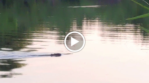 Home Improvement Store «Menards», reviews and photos, 2850 S Creasy Ln, Lafayette, IN 47905, USA