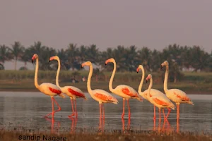 Agneepankh flamingo view point image