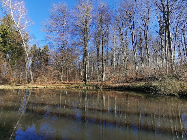 Rothallenweiher - Museum