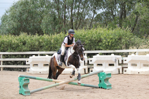 Horse riding lessons Melbourne