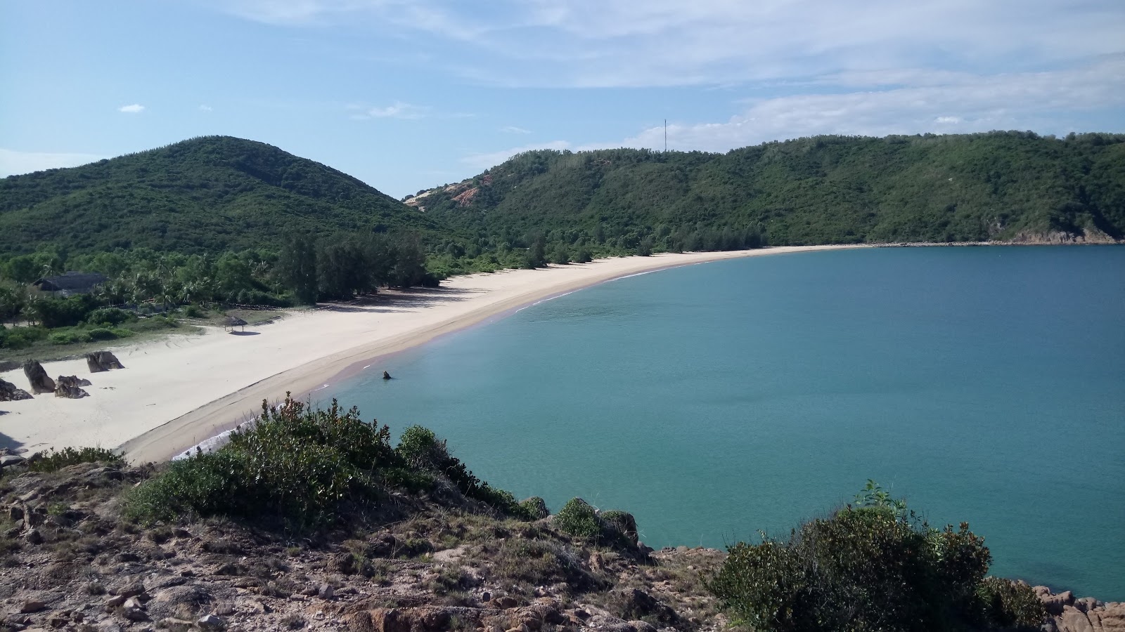 Foto de Tram Beach zona salvaje