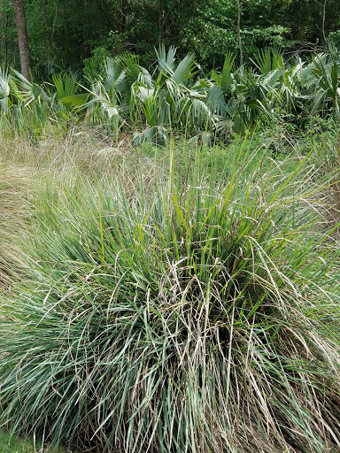 Golf Resort «Golf Club of Houston», reviews and photos, 5860 Wilson Rd, Humble, TX 77396, USA