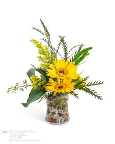 Florist «Blossom Boutique Florist», reviews and photos, 611 Pottstown Pike, Exton, PA 19341, USA