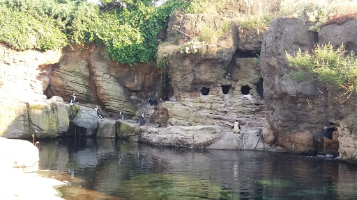 Aquarium «New York Aquarium», reviews and photos, 602 Surf Ave, Brooklyn, NY 11224, USA