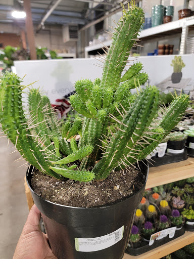 Shopping Mall «Eastgate Shopping Center», reviews and photos, 5048 Park Ave, Memphis, TN 38117, USA