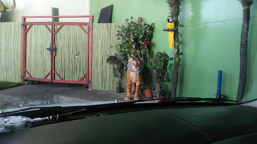 Car Wash «Green Forest Car Wash», reviews and photos, 4649 W Rosecrans Ave, Hawthorne, CA 90250, USA