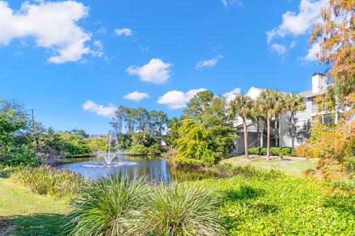 Real Estate Agency «City Park Clearwater», reviews and photos