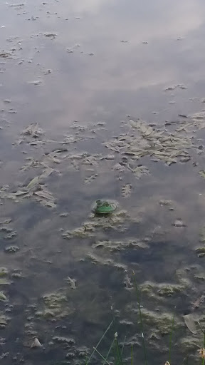 Nature Preserve «Bode Lake», reviews and photos, Bode Rd, Streamwood, IL 60107, USA