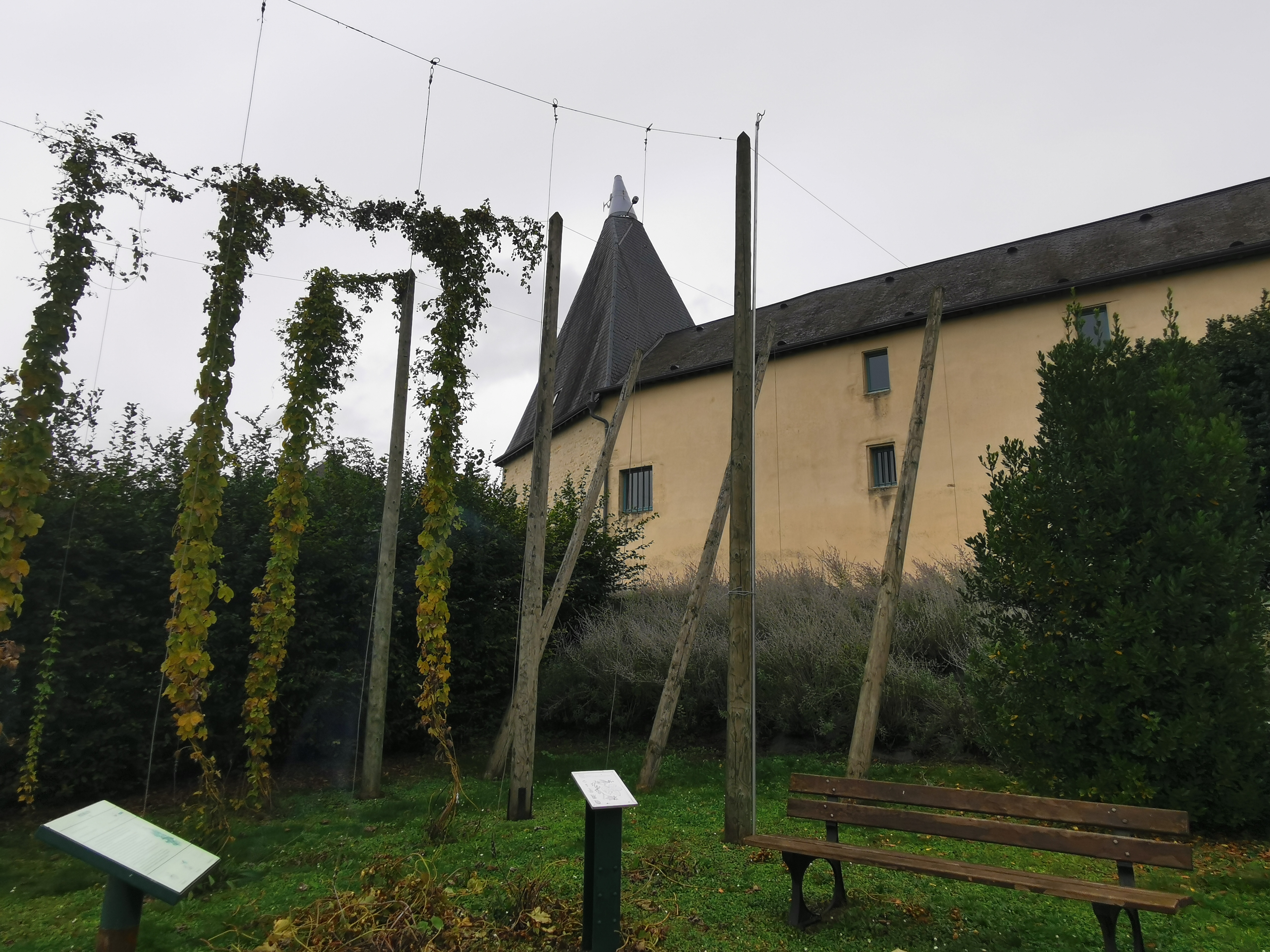 Photo n° 1 de l'avis de Phidis.a fait le 10/07/2019 à 18:28