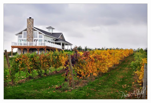 Quarry Hill Winery image 1