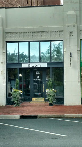 Hair Salon «Bloom Hair Lounge», reviews and photos, 178 E Main St, Spartanburg, SC 29306, USA