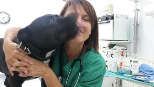 ΧΑΤΖΗΘΕΟΔΩΡΟΓΛΟΥ ΧΛΟΗ