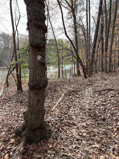 Fishing Place Raven Ridge Rd