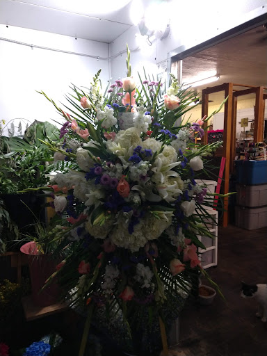Florist «Village Flowers & Gifts», reviews and photos, 527 W Lodi Ave, Lodi, CA 95242, USA