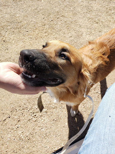 Public Golf Course «San Saba Municipal Golf Course», reviews and photos, 723 County Road 102, San Saba, TX 76877, USA