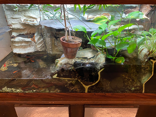 Pet Supply Store «Petco Animal Supplies», reviews and photos, 1141 Wantagh Ave, Wantagh, NY 11793, USA