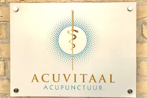 AcuVitaal Acupunctuur & Pijnbestrijding Friesland image