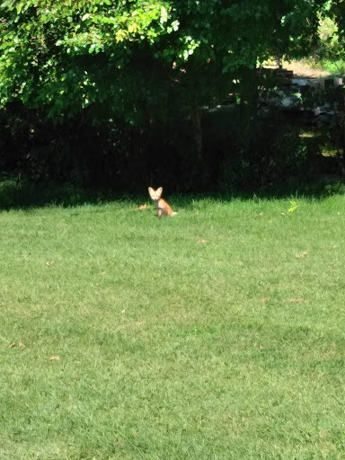Golf Course «Round Barn Golf Club», reviews and photos, 1024 Lakeview Dr, Rochester, IN 46975, USA