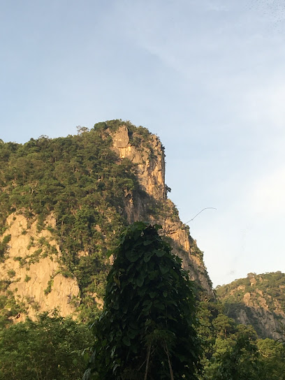 Tham Khao Luk Chang (Bat Cave)