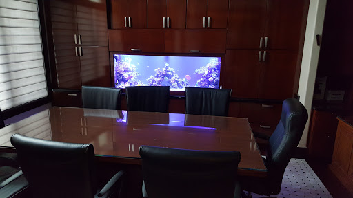 Pet Store «Sho Tank Aquariums», reviews and photos, 433 N Lake St, Mundelein, IL 60060, USA