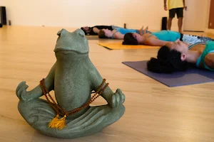 Laughing Frog Yoga image