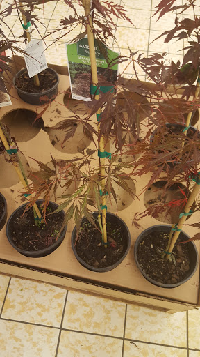 Supermarket «ALDI», reviews and photos, 1243 E Ash St #100, Piqua, OH 45356, USA